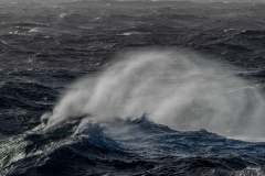 MvdR-20250315-175456-001