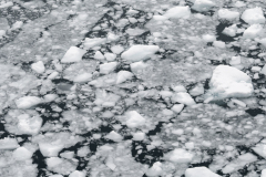 MvdR-20250318-132146-001