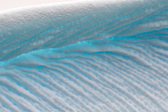 MvdR-20250319-111252-001