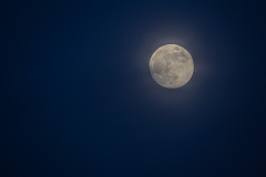 MvdR-20250411-193701-001