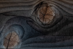 MvdR-20250430-154904-001