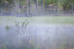 MvdR-20090617-023702-03396
