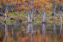 MvdR-20100909-111218-03931