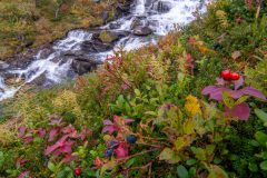 MvdR-20100909-132240-04023