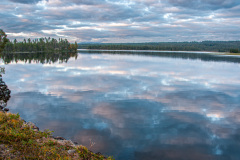 MvdR-20100910-064454-04115