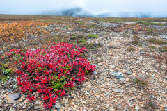 MvdR-20100912-095050-04253