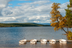 MvdR-20100913-141917-04487