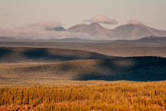 MvdR-20100915-071533-04587