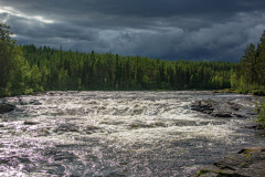 MvdR-20140801-180616-00033