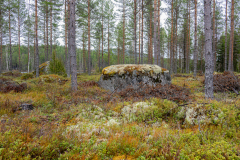 MvdR-20250420-111055-0001